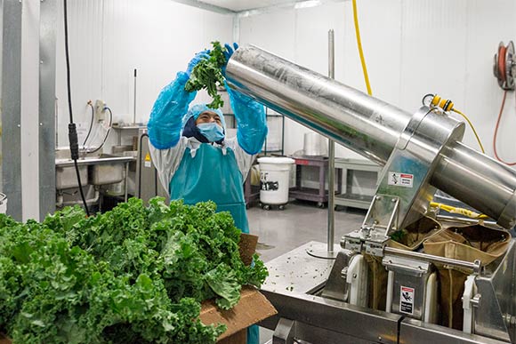 Nabin Rain juicing kale at Garden of Flavor