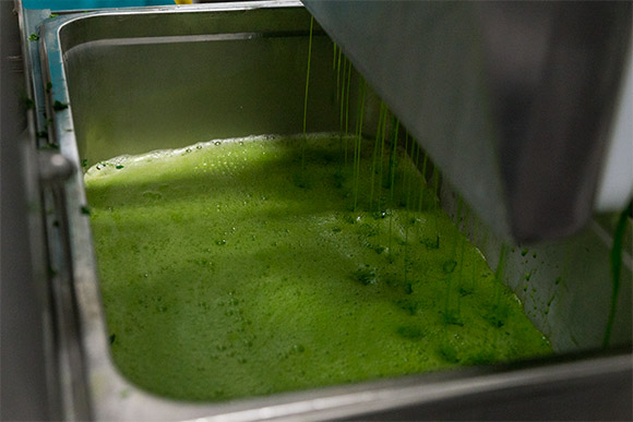 Juiced kale at Garden of Flavor