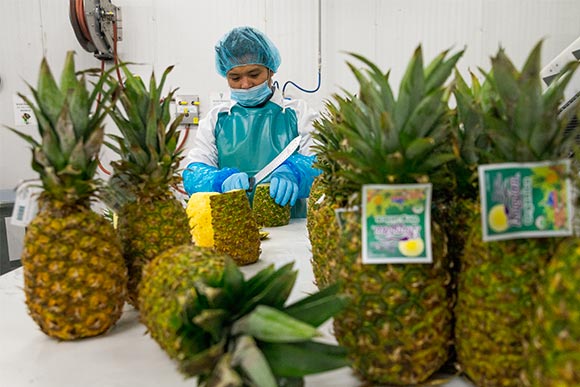 Kishor Rai slicing pineapple at Garden of Flavor