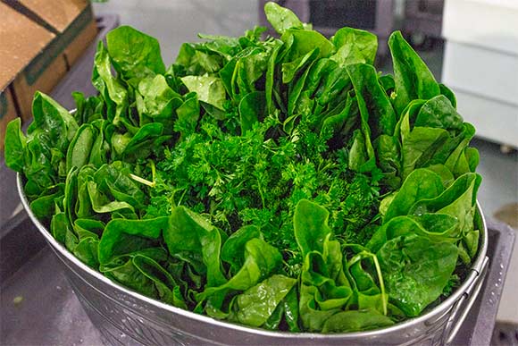 Ready to juice greens at Garden of Flavor