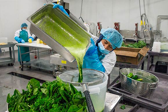 Nabin Rain juicing kale at Garden of Flavor