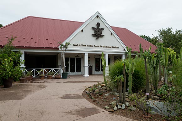 Sarah Allison Steffee Center for Zoological Medicine