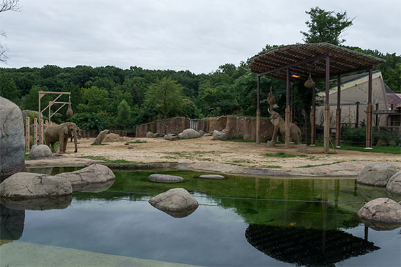 Elephant exhibit at the Cleveland Metroparks Zoo