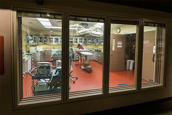 Viewing area on the visitor side of the SAS Center