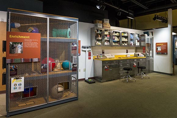 Visitor area at the Sarah Allison Steffee Center for Zoological Medicine