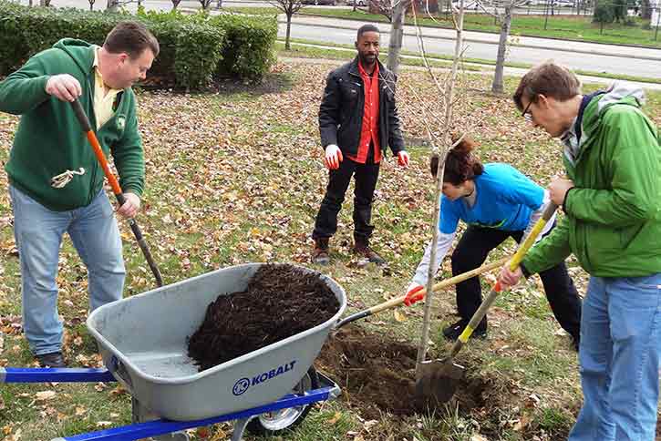 Tree planting in Cleveland