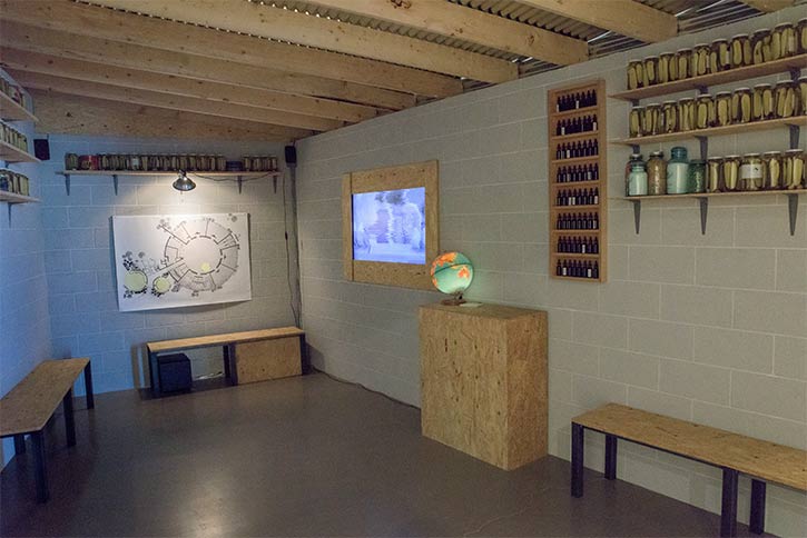 Tyree Guyton's Heidelberg Project