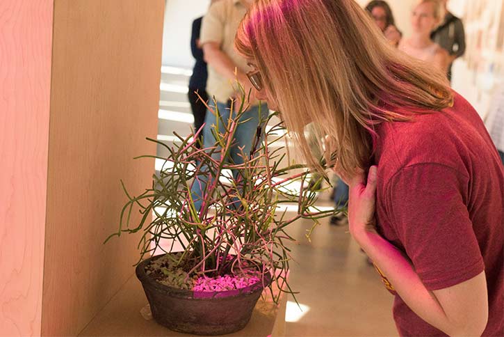 Danielle Julian Norton's invitation to talk to plants