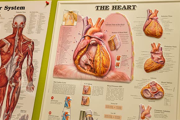 Phlebotomy Technician Program at NewBridge Cleveland