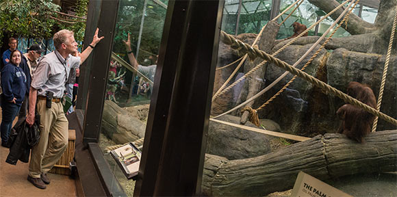 <span class="content-image-text">Cleveland Metroparks Zoo curator Tad Schoffner at the Orangutan exhibit in the RainForest</span>