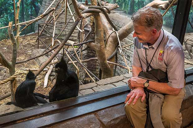 Cleveland Metroparks Zoo curator Tad Schoffner sitting with a Francois Langur in the RainForest