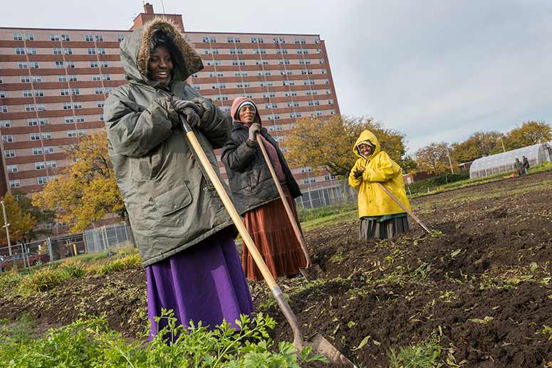 Ohio City Farm’s workers from The Refugee Empowerment Agricultural Program