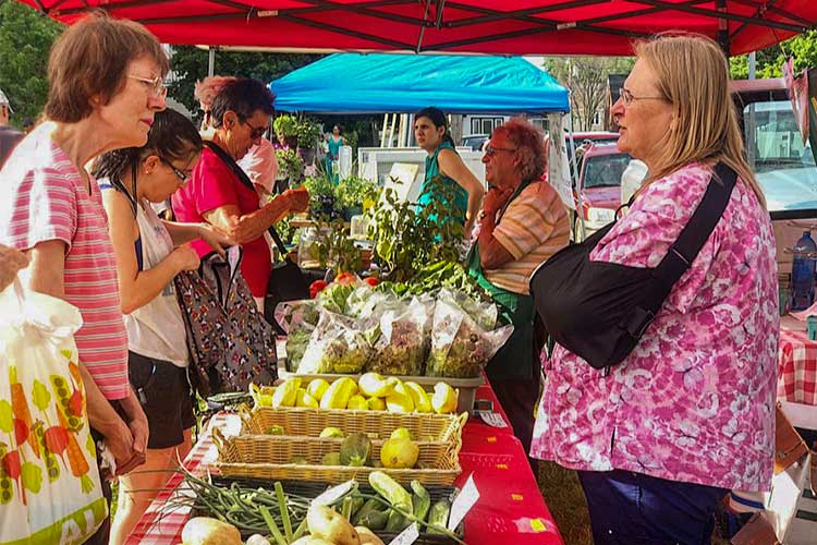 The Old Brooklyn Farmers Market
