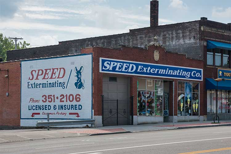 Speed Exterminating