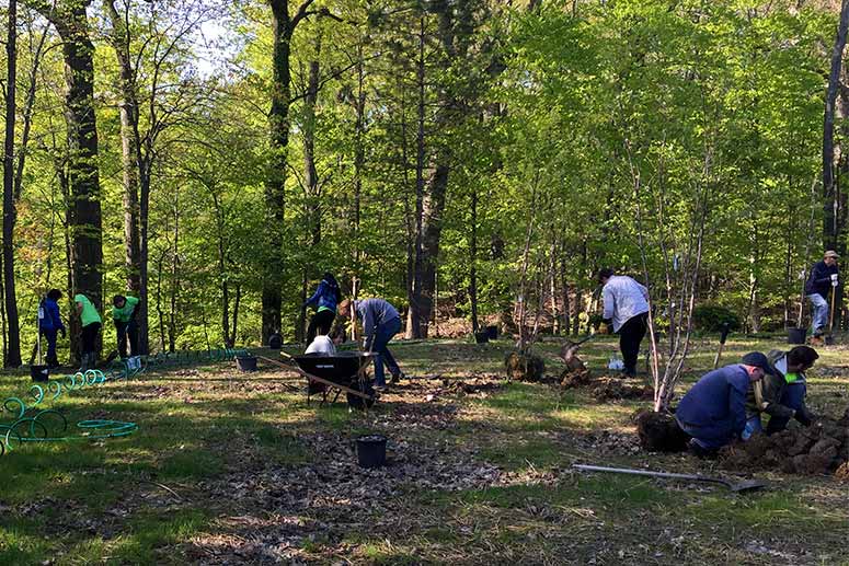 West Creek Conservancy volunteer event