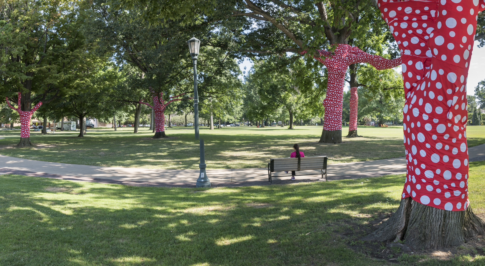 Ascension  of  Polkadots  on  the  Trees