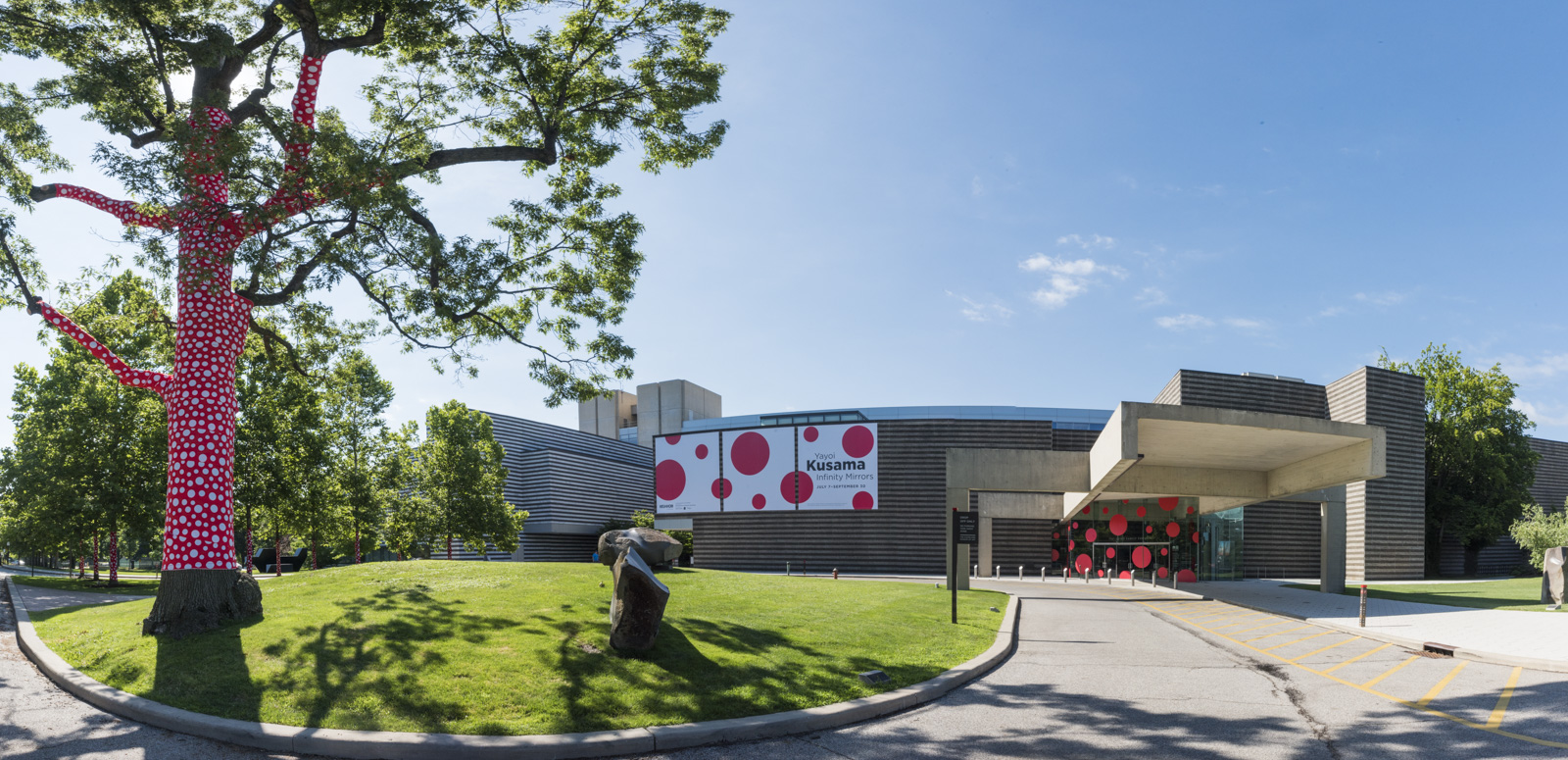 Ascension  of  Polkadots  on  the  Trees