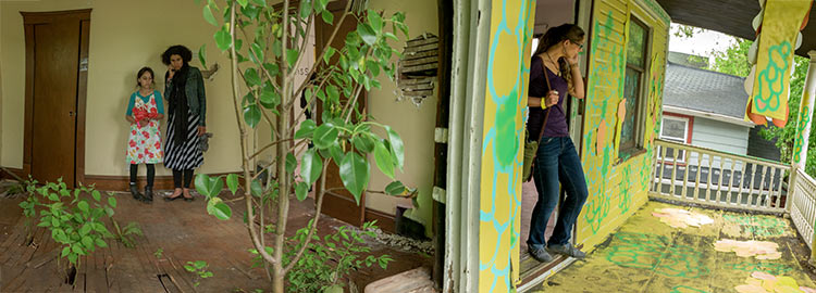 Indigenous House - Rooms To Let 2017