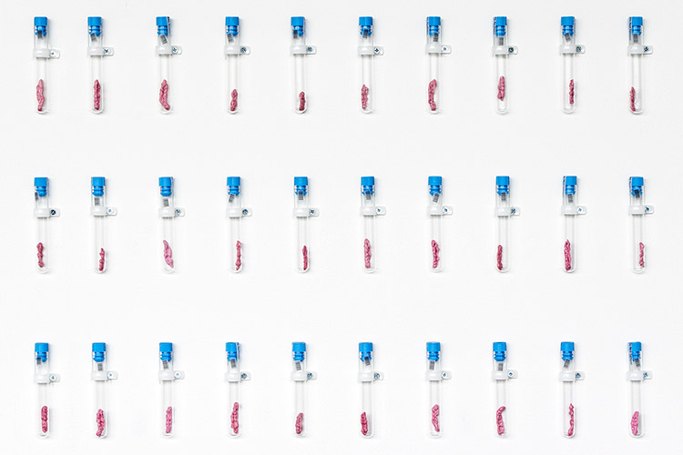 Erin Duhigg - Image Exchange