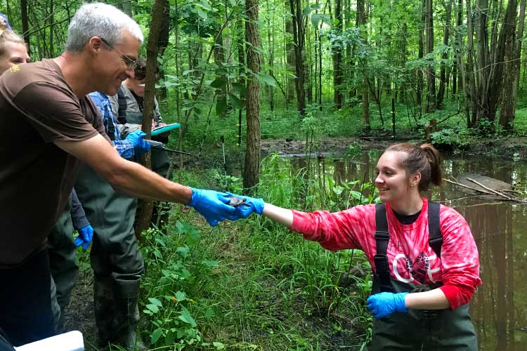 Spotted turtle hatchlings release with Widlife4Ever