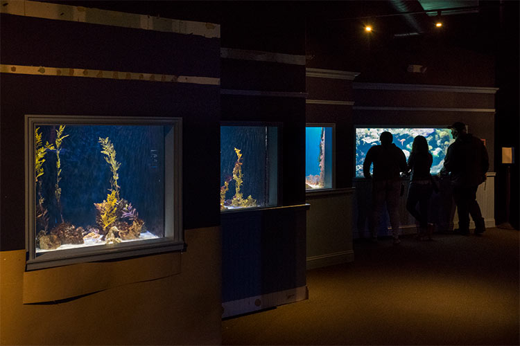 Greater Cleveland Aquarium