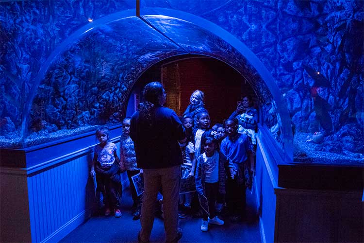 Greater Cleveland Aquarium