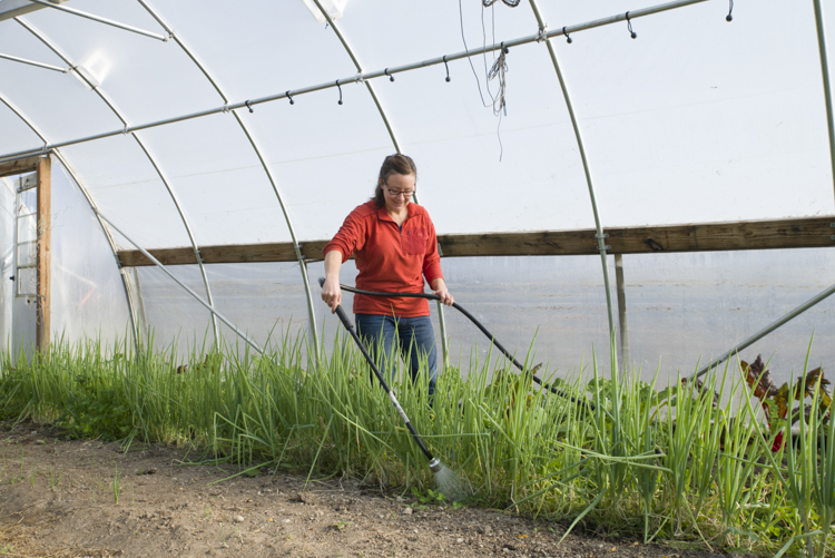 Squire Valleevue and Valley Ridge Farms