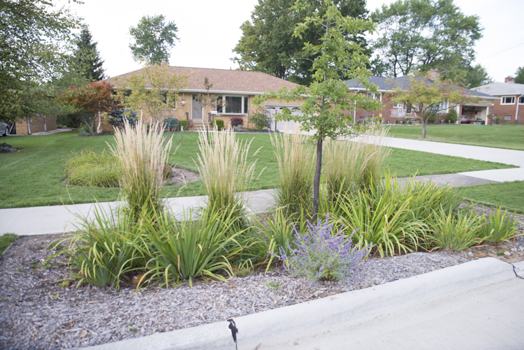 Rain gardens