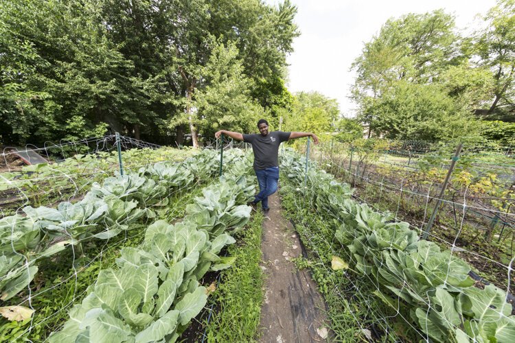 A student worker surveys the field at the Fairfax Learning Farm.