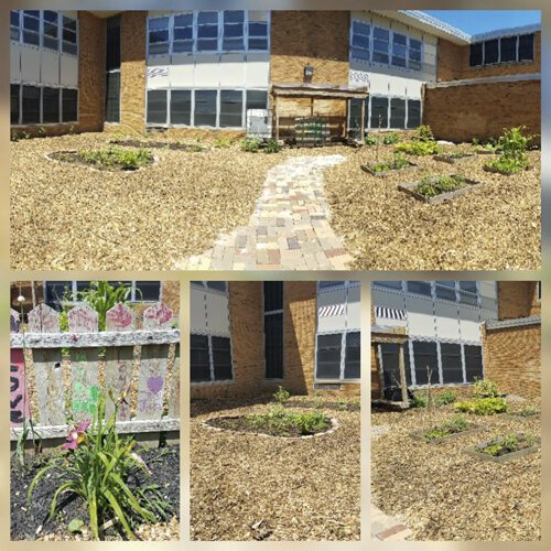 Green Team Garden at Iowa Maple Elementary School in Glenville.