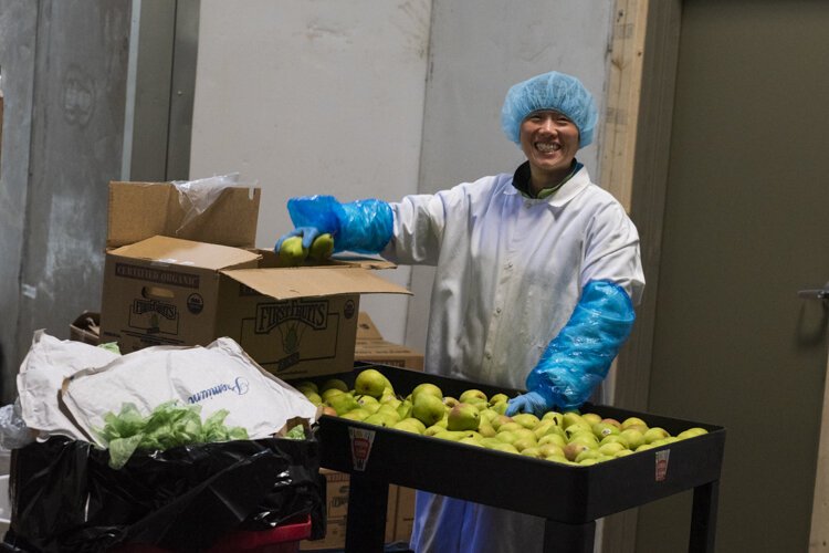 Sorting apples for Garden of Flavor at Central Kitchen