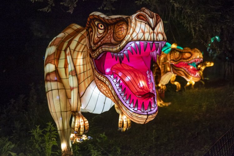 asian_lantern_festival_2019_653.jpg