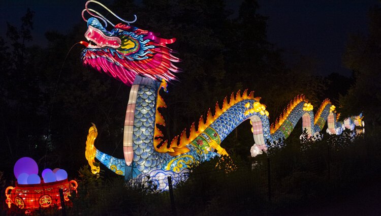 asian_lantern_festival_2019_704.jpg