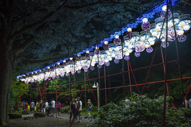 asian_lantern_festival_2019_741.jpg