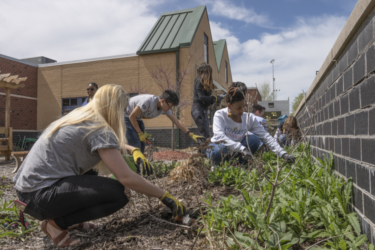 <span class="content-image-text">YFDC participants visited the Boys and Girls Club of Cleveland and lent a hand in some gardening and weeding to beautify their space in Cleveland’s Slavic Village</span>