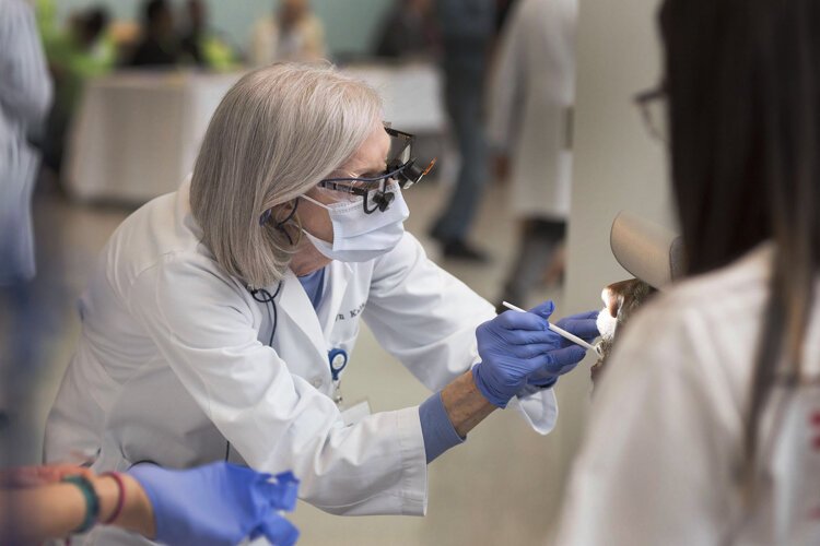 The Minority Men's Health Fair in 2018.