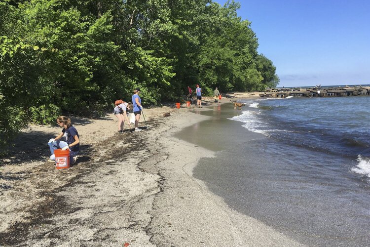 Drink Local. Drink Tap beach and lakefront volunteers at Perkins Beach.