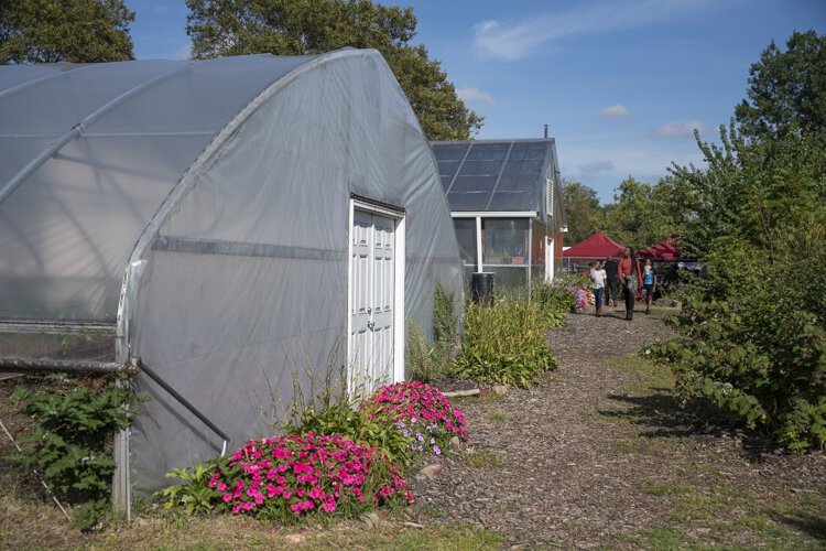 The Rid-All Green Partnership grows vegetables all year in two greenhouses.