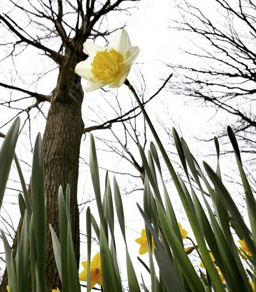 Photo Distancing Challenge image by Lexi Deet.