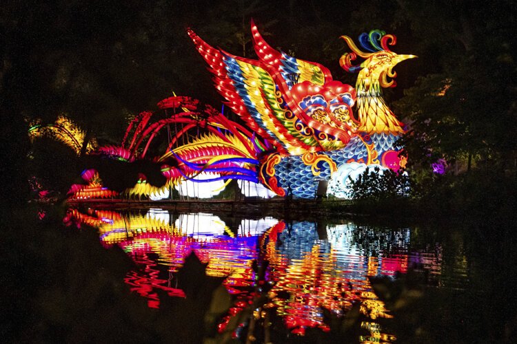 Asian Lantern Festival