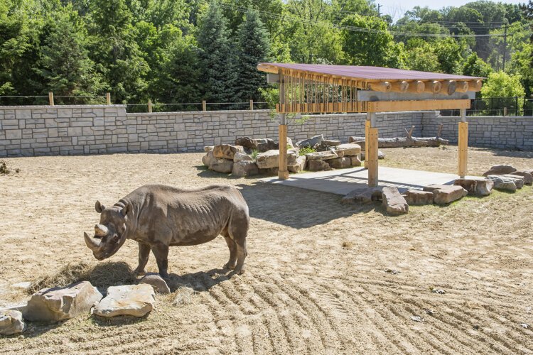 <span class="content-image-text">Cleveland Metroparks Zoo Rhino Reserve</span>