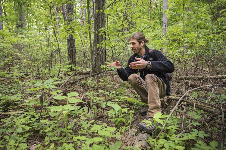 Cleveland Metroparks and the Cleveland Metroparks Zoo are offering virtual classroom lessons via Facebook Live