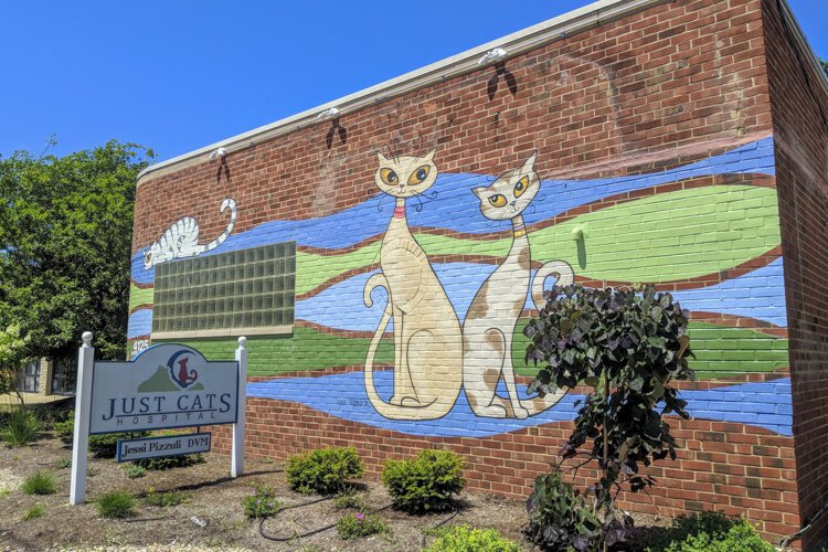 <span class="content-image-text">Just Cats Pet Hospital received a storefront renovation grant in 2018 to renovate the exterior and add a mural.</span>