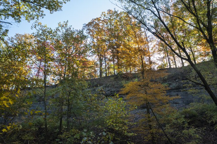 South face of shale cliffs in Brooklyn Oxbow.