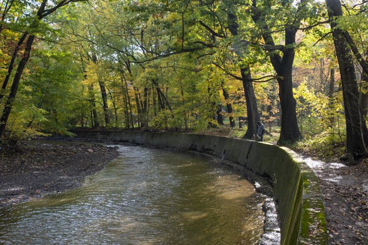 Looking upstream along East or Main Branch of Big Creek in Memphis Picnic Area