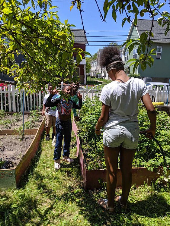 Christian Elder's Model Garden program will teach students ages 8-18 how to grow, prepare, and market their own food.