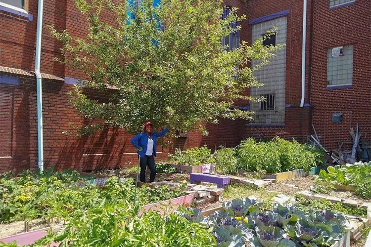 <span class="content-image-text">Christian Elder's Model Garden program will teach students ages 8-18 how to grow, prepare, and market their own food.</span>