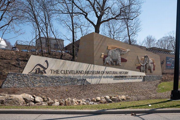The Cleveland Museum of Natural History is going strong as well, recently debuting its newest exhibit, 100 Years of Discovery: A Museum’s Past, Present & Future.