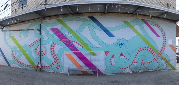 The Keep Euclid Beautiful group, with its murals and other public art, is one of the most active and impactful grassroots efforts in Euclid.