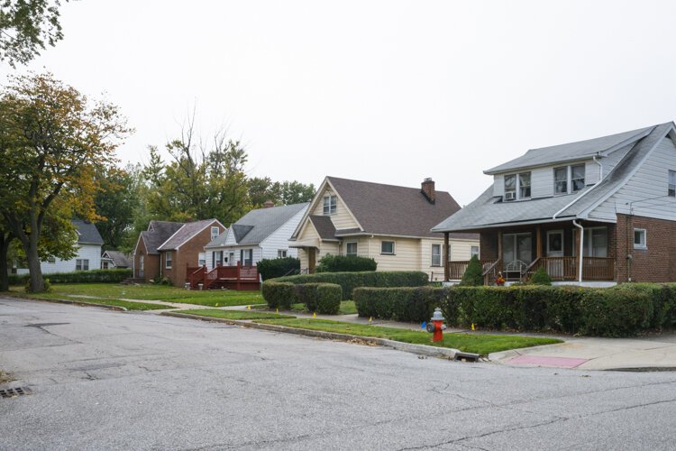 A typical Euclid neighborhood